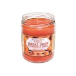 Smoke Odor Candle Pumpkin & Spice
