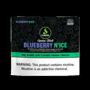Fumari Blueberry N'ice