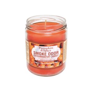 Smoke Odor Candle Pumpkin & Spice