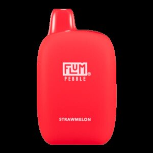 Flum Pebble Strawmelon 6000 Puffs